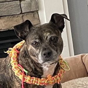 Meet your Posher, Nolan